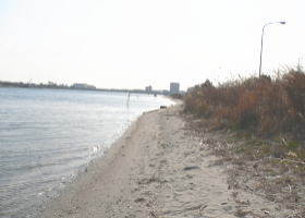 $B$O$J$>$ND`6qE9!!I=IML>8P%]%$%s%H?^!!#1HV%_%*(B