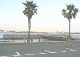 $B$O$J$>$ND`6qE9!!I=IML>8P%]%$%s%H?^!!?75o3$D`$j8x1`(B