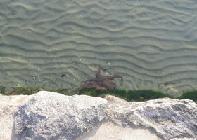 $B$O$J$>$ND`6qE9!!I=IML>8P%]%$%s%H?^!!J[E7Eg3$IM8x1`!!%?%3(B