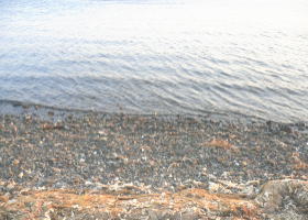 $B$O$J$>$ND`6qE9!!1|IML>8P%]%$%s%H?^!!8^L#H>Eg(B