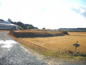 $BGr;3(B($B1|>1Fb(B)$B#1#7(B