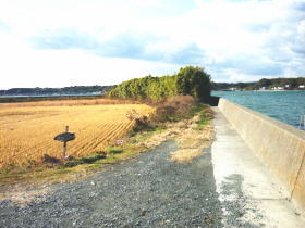 $BGr;3(B($B1|>1Fb(B)$B#1#8(B