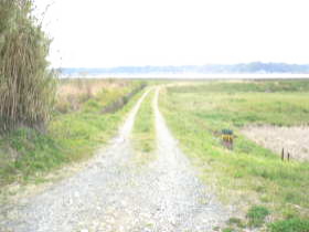 $BGr;3(B($B1|>1Fb(B)$B#1#9(B