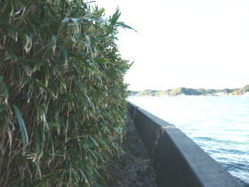 $BGr;3(B($B1|>1Fb(B)$B#2#1(B