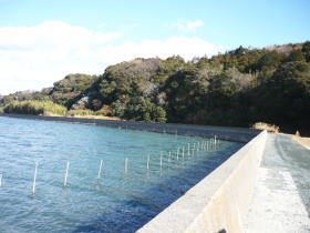 $BGr;3(B($B1|>1Fb(B)$B#2#2(B