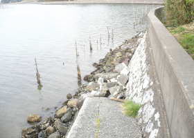 $BGr;3(B($B1|>1Fb(B)$B#2#4(B