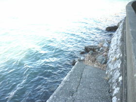 $BGr;3(B($B1|>1Fb(B)$B#2#5(B