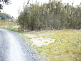 $BGr;3(B($B1|>1Fb(B)$B#4(B