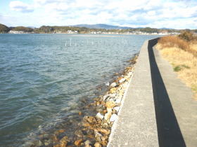 $BGr;3(B($B1|>1Fb(B)$B#5(B