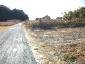 $BGr;3(B($B1|>1Fb(B)$B#7(B