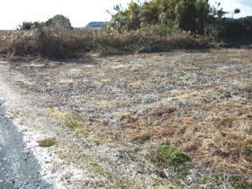 $BGr;3(B($B1|>1Fb(B)$B#8(B