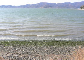 $B$O$J$>$ND`6qE9!!1|IML>8P%]%$%s%H?^!!0KL\#5(B