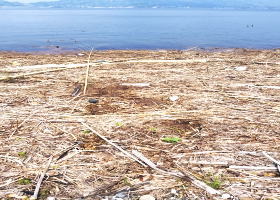 $B$O$J$>$ND`6qE9!!1|IML>8P%]%$%s%H?^!!0KL\#6(B