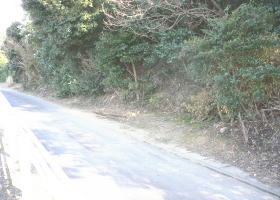 $B$O$J$>$ND`6qE9!!1|IML>8P%]%$%s%H?^!!0KF`(B