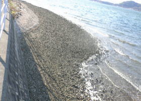 $B$O$J$>$ND`6qE9!!1|IML>8P%]%$%s%H?^!!0KF`(B