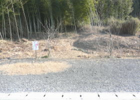 $B$O$J$>$ND`6qE9!!1|IML>8P%]%$%s%H?^!!0KF`(B