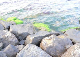 $B$O$J$>$ND`6qE9!!CfIML>8P%]%$%s%H?^!!4\;3;{Fb1:OQ(B