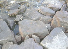 $B$O$J$>$ND`6qE9!!CfIML>8P%]%$%s%H?^!!4\;3;{Fb1:OQ(B