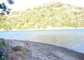 $B$O$J$>$ND`6qE9!!CfIML>8P%]%$%s%H?^!!4\;3;{Fb1:OQ(B