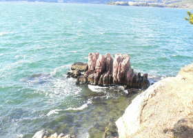 $B$O$J$>$ND`6qE9!!CfIML>8P%]%$%s%H?^!!4\;3;{Fb1:OQ(B