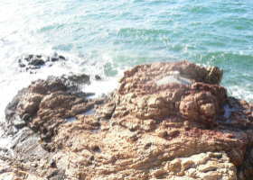 $B$O$J$>$ND`6qE9!!CfIML>8P%]%$%s%H?^!!4\;3;{Fb1:OQ(B