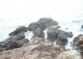 $B$O$J$>$ND`6qE9!!CfIML>8P%]%$%s%H?^!!4\;3;{Fb1:OQ(B