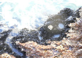 $B$O$J$>$ND`6qE9!!CfIML>8P%]%$%s%H?^!!4\;3;{Fb1:OQ(B