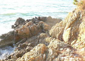 $B$O$J$>$ND`6qE9!!CfIML>8P%]%$%s%H?^!!4\;3;{Fb1:OQ(B