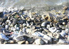 $B$O$J$>$ND`6qE9!!I=IML>8P%]%$%s%H?^!!8E?M8+%O%&%9A0(B