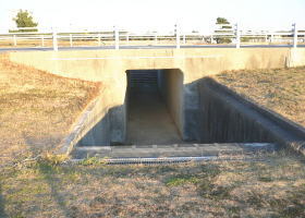 $B$O$J$>$ND`6qE9!!CfIML>8P%]%$%s%H?^!!CfG7Eg(B