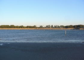 $B$O$J$>$ND`6qE9!!CfIML>8P%]%$%s%H?^!!CfG7Eg(B