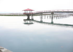 $B$O$J$>$ND`6qE9!!I=IML>8P%]%$%s%H?^!!25=w1`(B($BO;3QF2(B)