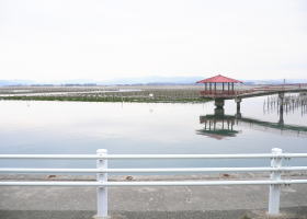 $B$O$J$>$ND`6qE9!!I=IML>8P%]%$%s%H?^!!25=w1`(B($BO;3QF2(B)