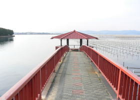 $B$O$J$>$ND`6qE9!!I=IML>8P%]%$%s%H?^!!25=w1`(B($BO;3QF2(B)