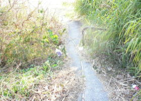 $B$O$J$>$ND`6qE9!!1|IML>8P%]%$%s%H?^!!:45WJF(B