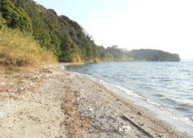 $B$O$J$>$ND`6qE9!!1|IML>8P%]%$%s%H?^!!:45WJF(B