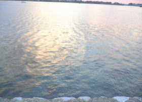 $B$O$J$>$ND`6qE9!!I=IML>8P%]%$%s%H?^!!%5%/%i%^%k(B