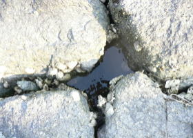 $B$O$J$>$ND`6qE9!!CfIML>8P%]%$%s%H?^!!Gr='(B