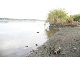 $B$O$J$>$ND`6qE9!!CfIML>8P%]%$%s%H?^!!Gr='(B