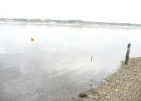 $B$O$J$>$ND`6qE9!!CfIML>8P%]%$%s%H?^!!Gr='(B