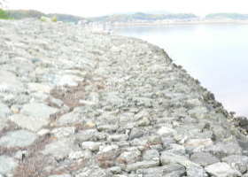 $B$O$J$>$ND`6qE9!!CfIML>8P%]%$%s%H?^!!Gr='(B