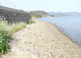 $B$O$J$>$ND`6qE9!!1|IML>8P%]%$%s%H?^!!@#:B(B