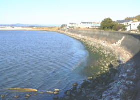 $B$O$J$>$ND`6qE9!!CfIML>8P%]%$%s%H?^!!;3:j(B