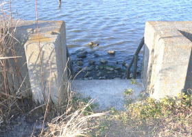 $B$O$J$>$ND`6qE9!!CfIML>8P%]%$%s%H?^!!;3:j(B