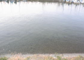 $B$O$J$>$ND`6qE9!!1|IML>8P%]%$%s%H?^!!hSK\@n(B